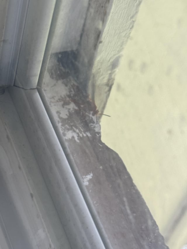 likely not a Hymenoptera (wasp/bee) analysis